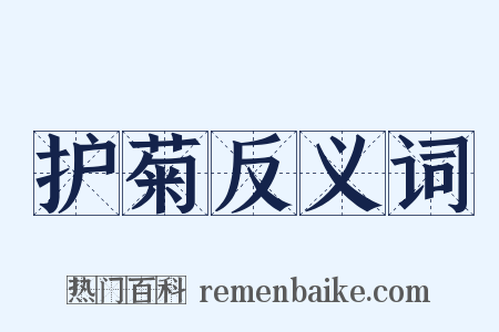 护菊反义词是什么意思的图片